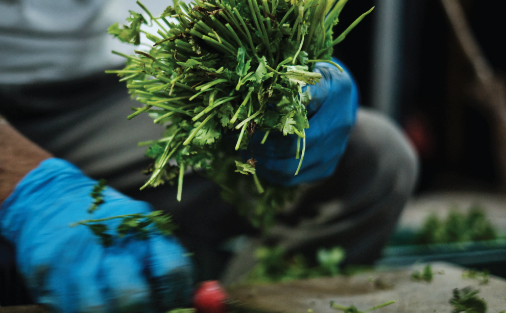 Sustainable Practices in the Frozen Food Industry: Shaping a Greener Future