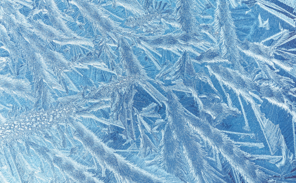 The Science Behind Freezing: How Freezing Extends Shelf Life Without Compromising Taste